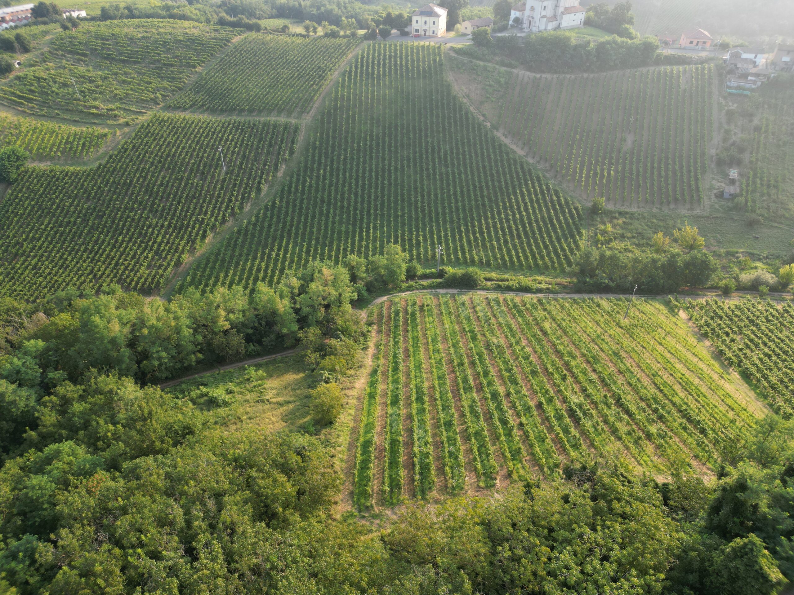 Mastering the First Impression: Your intriguing post title goes here DJI 0750 Scaled